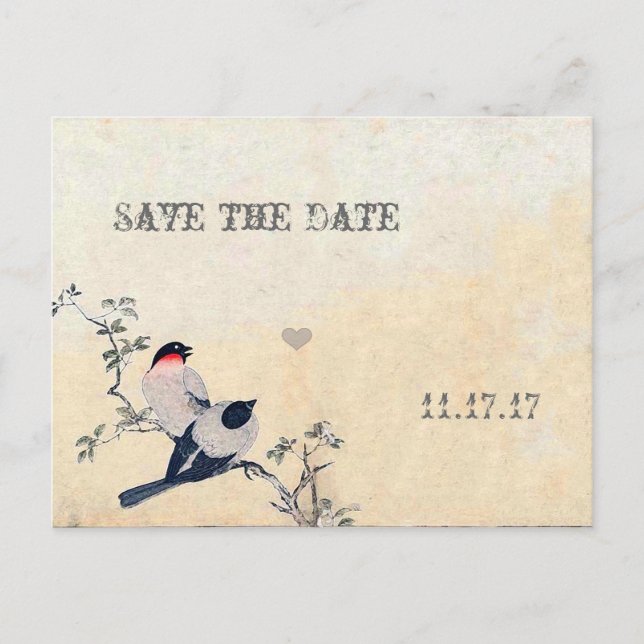 Vintage Vögel Save the Date Ankündigungspostkarte (Vorderseite)