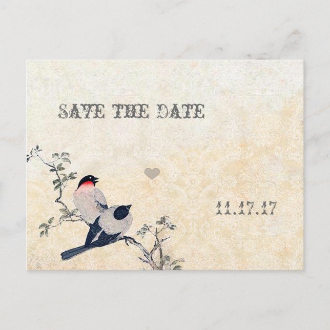 Vintage Vögel Save the Date Damask Ankündigungspostkarte (Vorderseite)