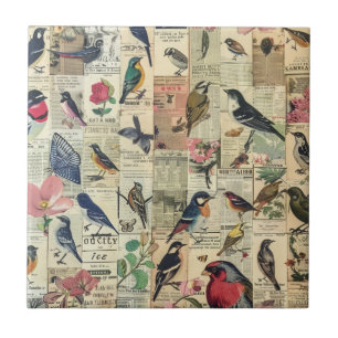 Vintage Vogel Schmetterling Zeitung Botanisch Fliese