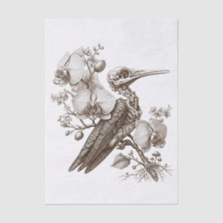 Vintage Vogel Skelett und Orchideen Blumen Gravur Seidenpapier