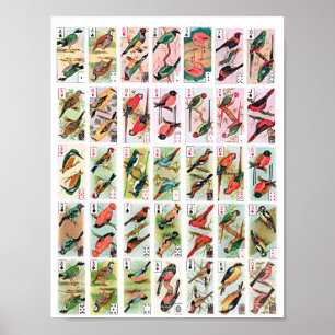 Vintage Vögel spielen Karten Tiere Wildlife Art Poster