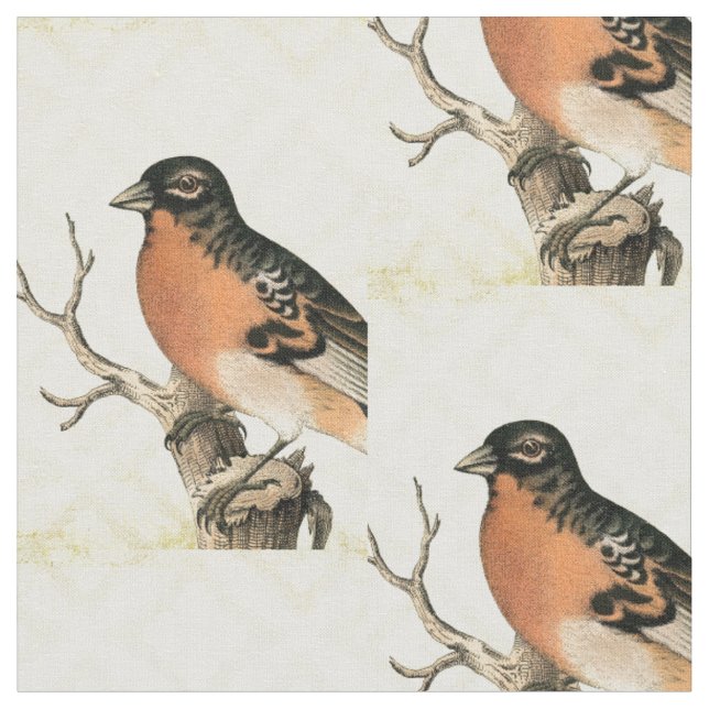 Vintage Vogel Stoff (Nahaufnahme)