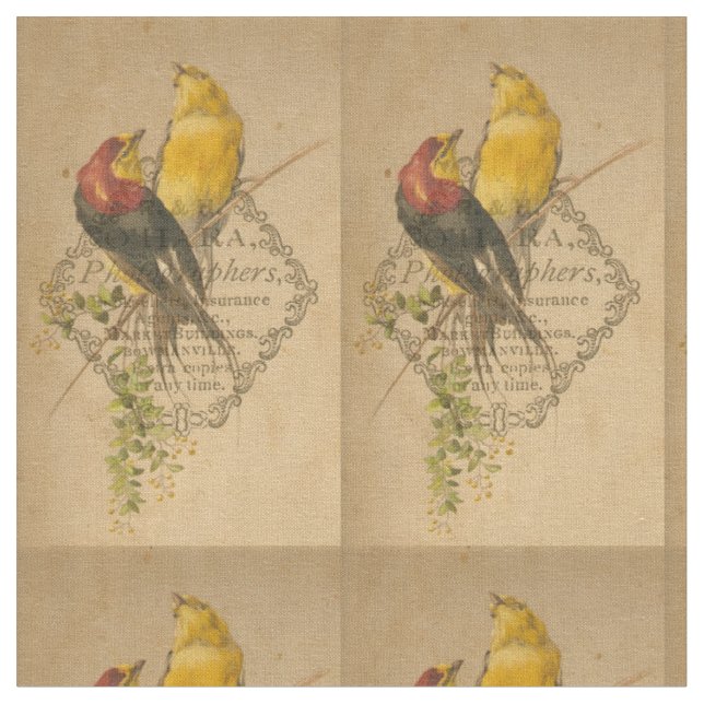 Vintage Vögel und antike Fotografien Digitale Kuns Stoff (Nahaufnahme)