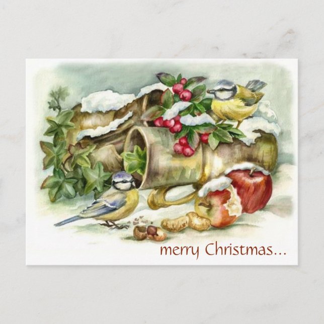 Vintage Vögel und Äpfel im Winter Weihnachten Postkarte (Vorderseite)