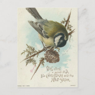 Vintage Vogel und Kiefernzweig Postkarte