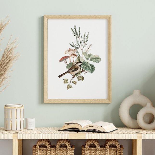 Vintage-Vogel- und Pilz-Botanik Poster (Von Creator hochgeladen)
