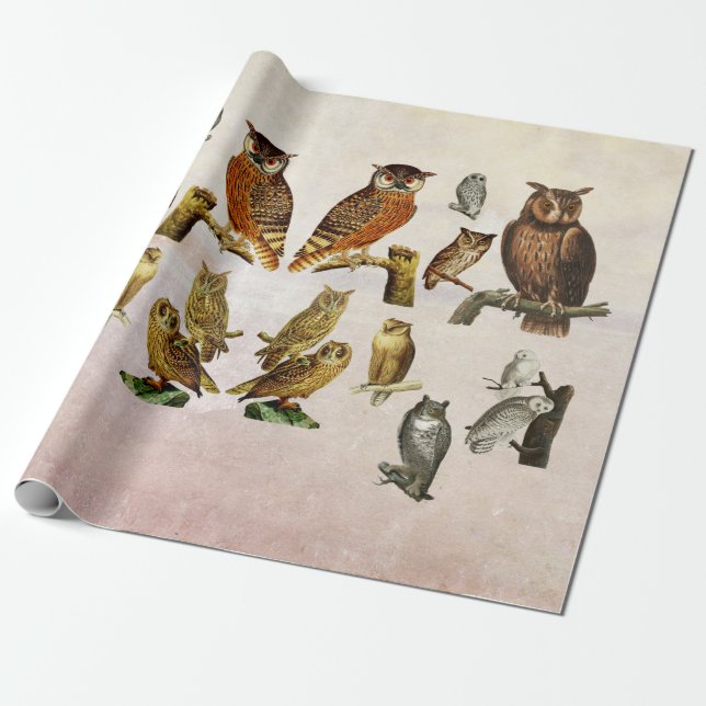 Vintage Vogelarten Wildtiere Kunstsammlung Geschenkpapier (Ungerollt)