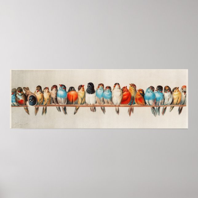 Vintage Vogelausgabe Poster (Vorne)