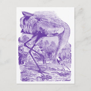 Vintage-Vogelbild   Lila   Kranich Postkarte