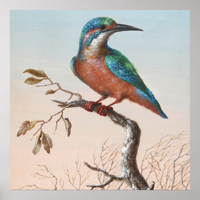 Vintage Vogeldarstellung Poster (Vorne)