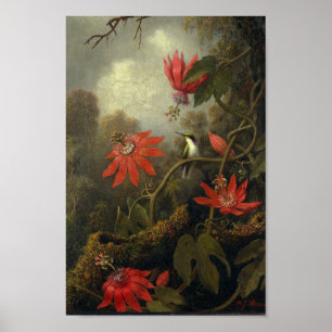 Vintage Vogeldarstellung Poster