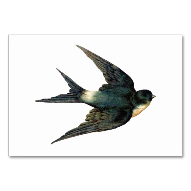 Vintage Vogeldarstellung Tischnummer (Vorderseite)