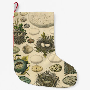 Vintage-Vogelei-Nest-Kunstmalerei Naturgeschichte Kleiner Weihnachtsstrumpf