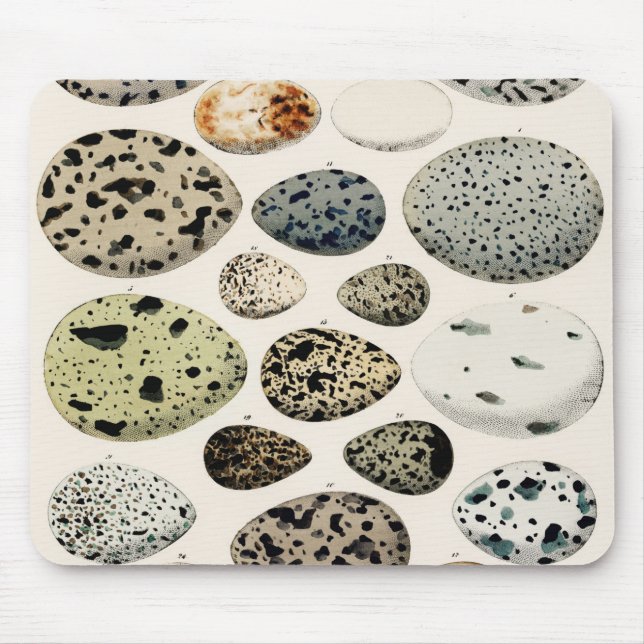 Vintage Vogeleier-Abbildung Mousepad (Vorne)