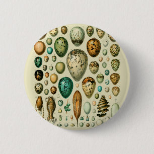 Vintage-Vogeleier Französische Fischeier-Kunst Button