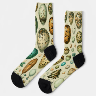 Vintage-Vogeleier Französische Fischeier-Kunst Socken
