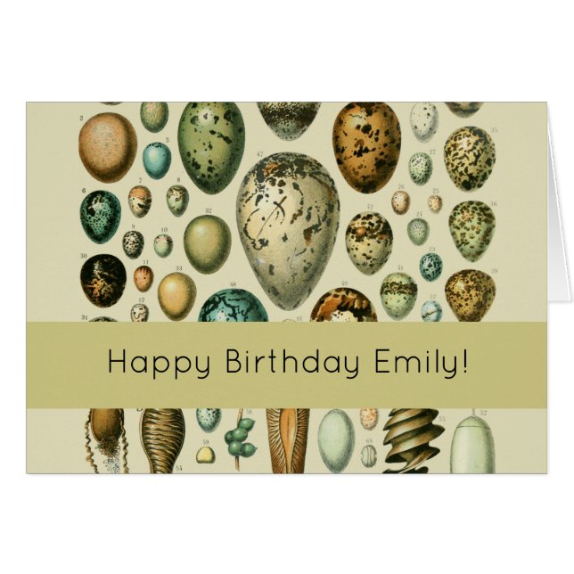 Vintage Vogeleier - Französisches Fischeier Art (Vorderseite (Horizontal))