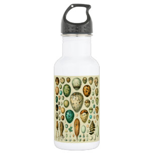 Vintage Vogeleier - Französisches Fischeier Art Edelstahlflasche