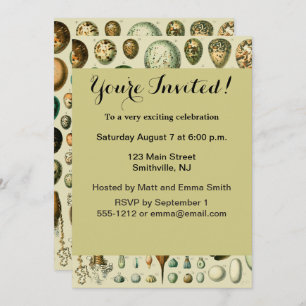 Vintage Vogeleier - Französisches Fischeier Art Einladung