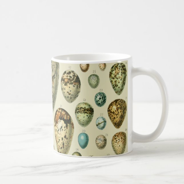 Vintage Vogeleier - Französisches Fischeier Art Kaffeetasse (Rechts)