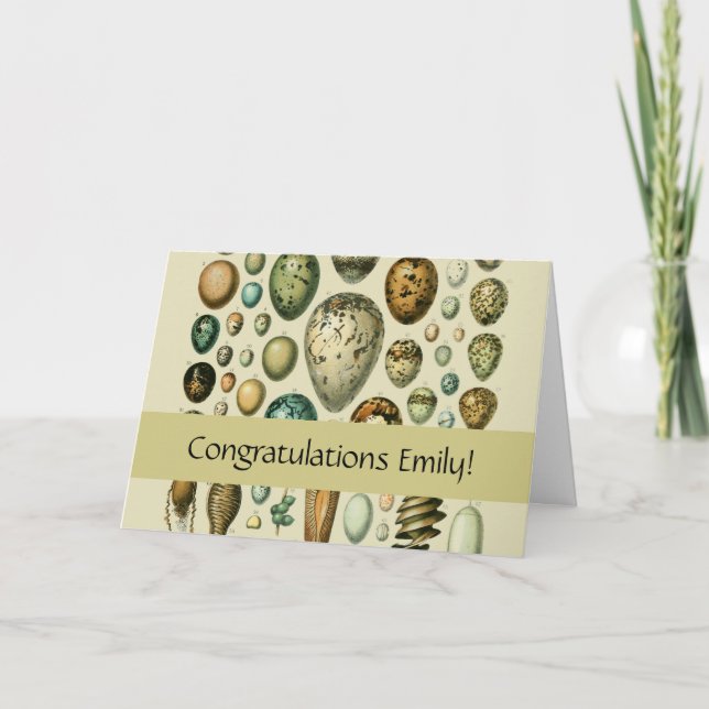 Vintage Vogeleier - Französisches Fischeier Art Karte (Vorderseite)