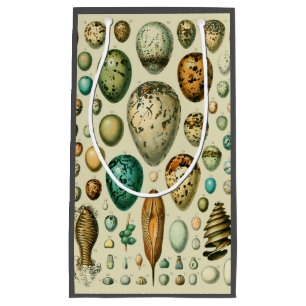 Vintage Vogeleier - Französisches Fischeier Art Kleine Geschenktüte