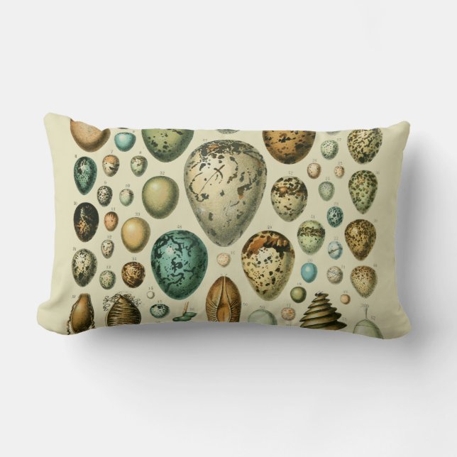 Vintage Vogeleier - Französisches Fischeier Art Lendenkissen (Vorderseite)