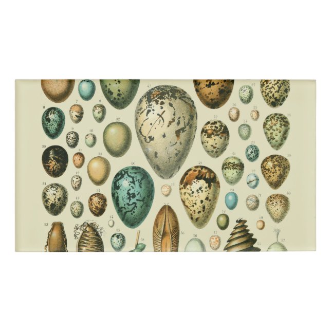 Vintage Vogeleier - Französisches Fischeier Art Namenschild (Vorderseite)