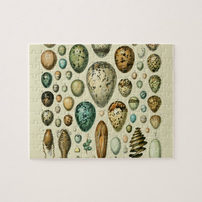 Vintage Vogeleier - Französisches Fischeier Art Puzzle (Horizontal)