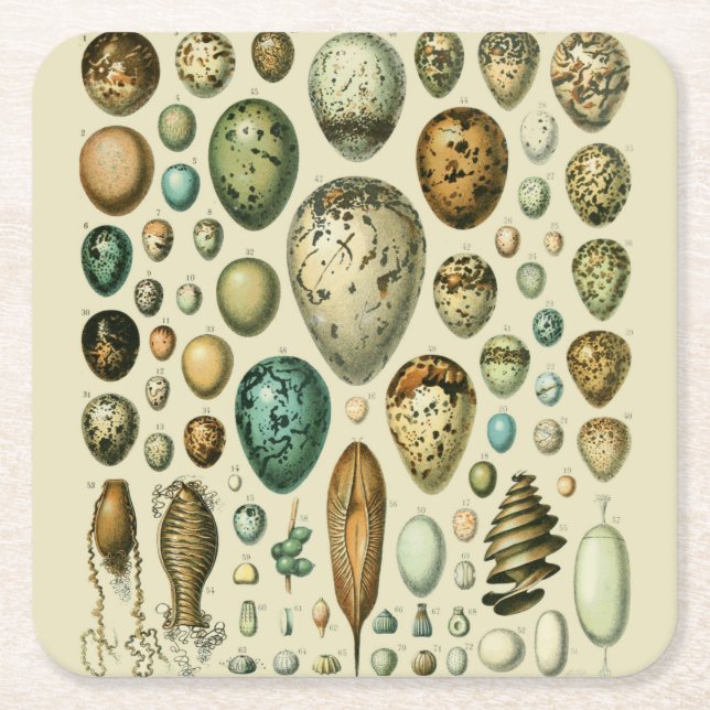 Vintage Vogeleier - Französisches Fischeier Art Rechteckiger Pappuntersetzer (Vorderseite)