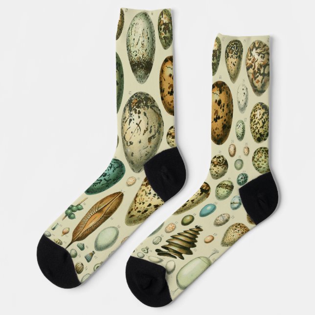 Vintage Vogeleier - Französisches Fischeier Art Socken (Linkes Detail)