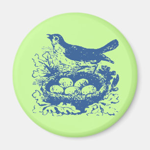 Vintage Vogeleier & Nest Magnet