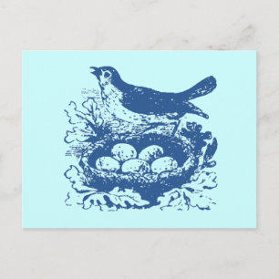 Vintage Vogeleier & Nest Postkarte