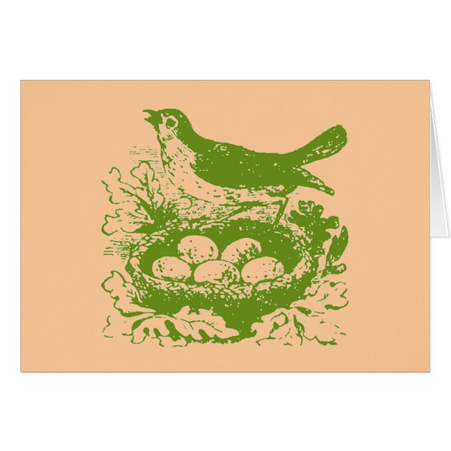 Vintage Vogeleier und Nest (Vorderseite (Horizontal))