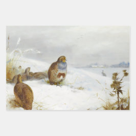 Vintage Vogelkunst Geschenkpapier Set