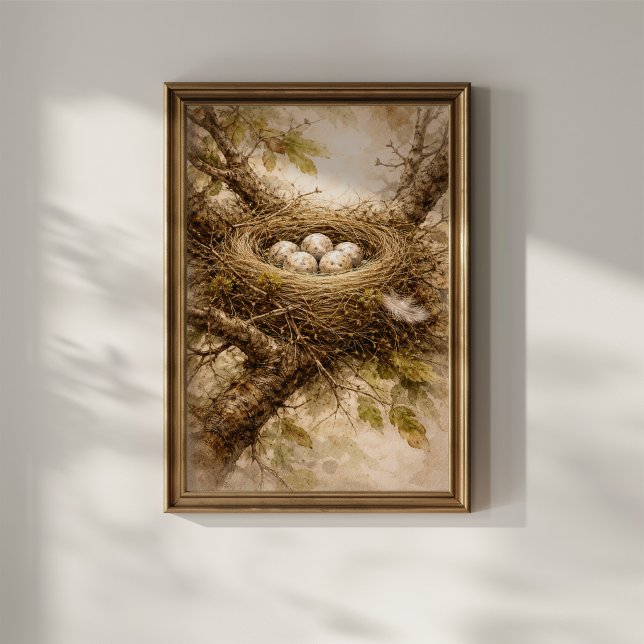 Vintage Vogelnest mit Eiern Poster (Von Creator hochgeladen)