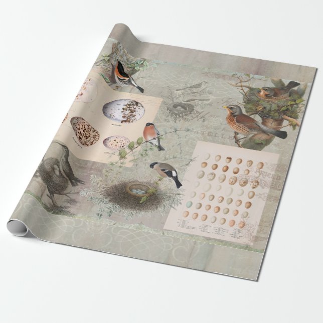 Vintage-Vogelnest-Schrift-Ephemera-Eier-Decoupage Geschenkpapier (Ungerollt)
