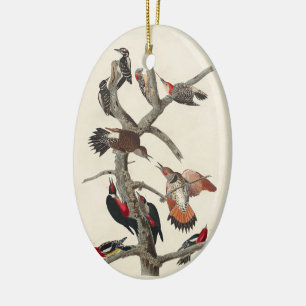 Vintage Vogelspecht - Klassische Illustrationen Keramik Ornament
