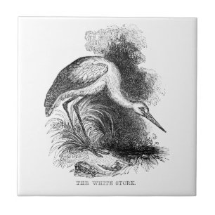 Vintage Vogelwelt im Weißen Storch Zeichnend Fliese