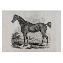 Vintage-Vollblut-Pferd Reitsport Personalisiert