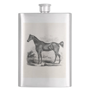Vintage-Vollblutpferd-Reitsport individuell gestal Flachmann