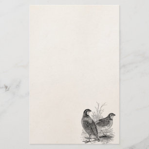 Vintage Wachtel-Vögel - personalisierter Retro Briefpapier