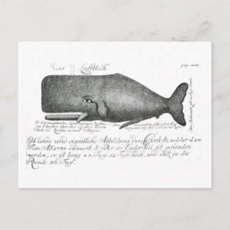 Vintage-Wal-Design Postkarte
