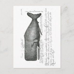 Vintage Wal Design Postkarte