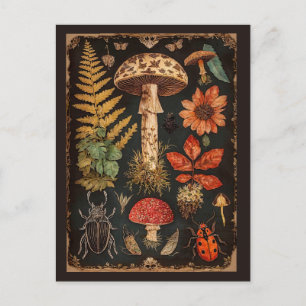 Vintage-Wald-Pilzhaus-Cottagecore Postkarte