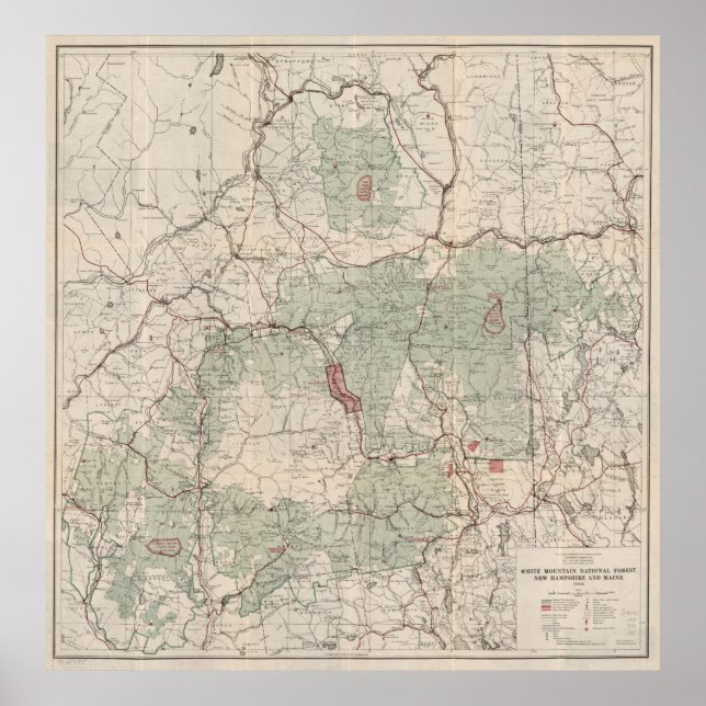 Vintage Waldkarte der Weißen Berge (1931) Poster (Vorne)