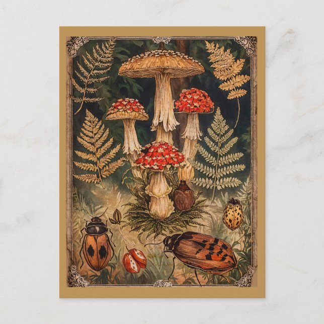 Vintage Waldmushrooms Herbstgrüße Postkarte (Vorderseite)