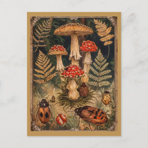 Vintage-Waldpilze-Herbstgruß Postkarte