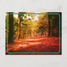 Vintage Waldpostkarte