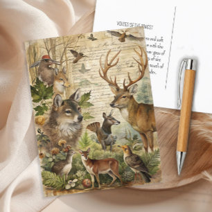 Vintage Waldtiere Wolf Hirsch Natur Postkarte
